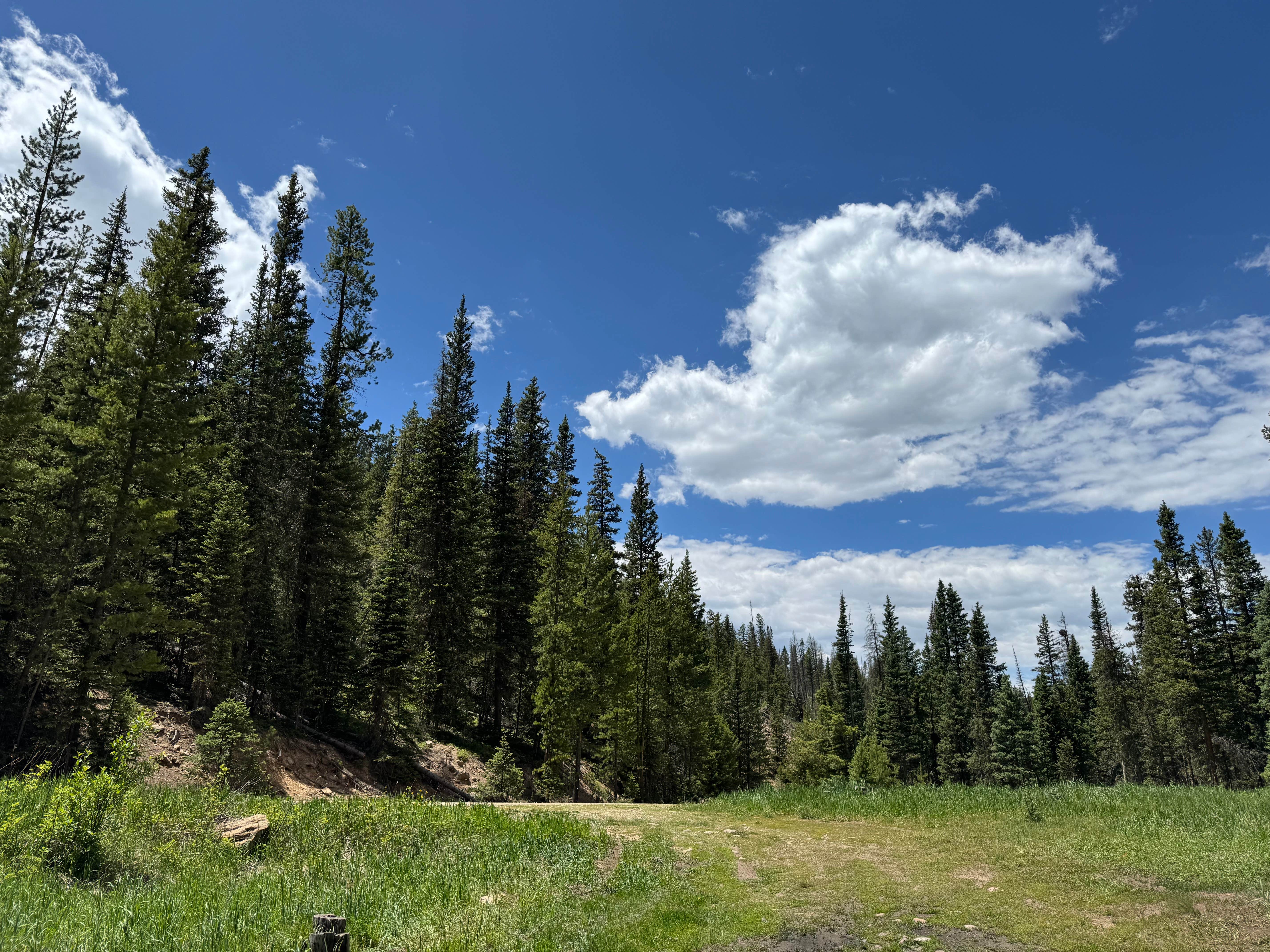 Camper-submitted photo at Spring Creek Colorado- Dispersed Camping near Heeney, CO