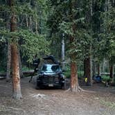 Review photo of Spring Creek Colorado- Dispersed Camping by michael H., August 4, 2024