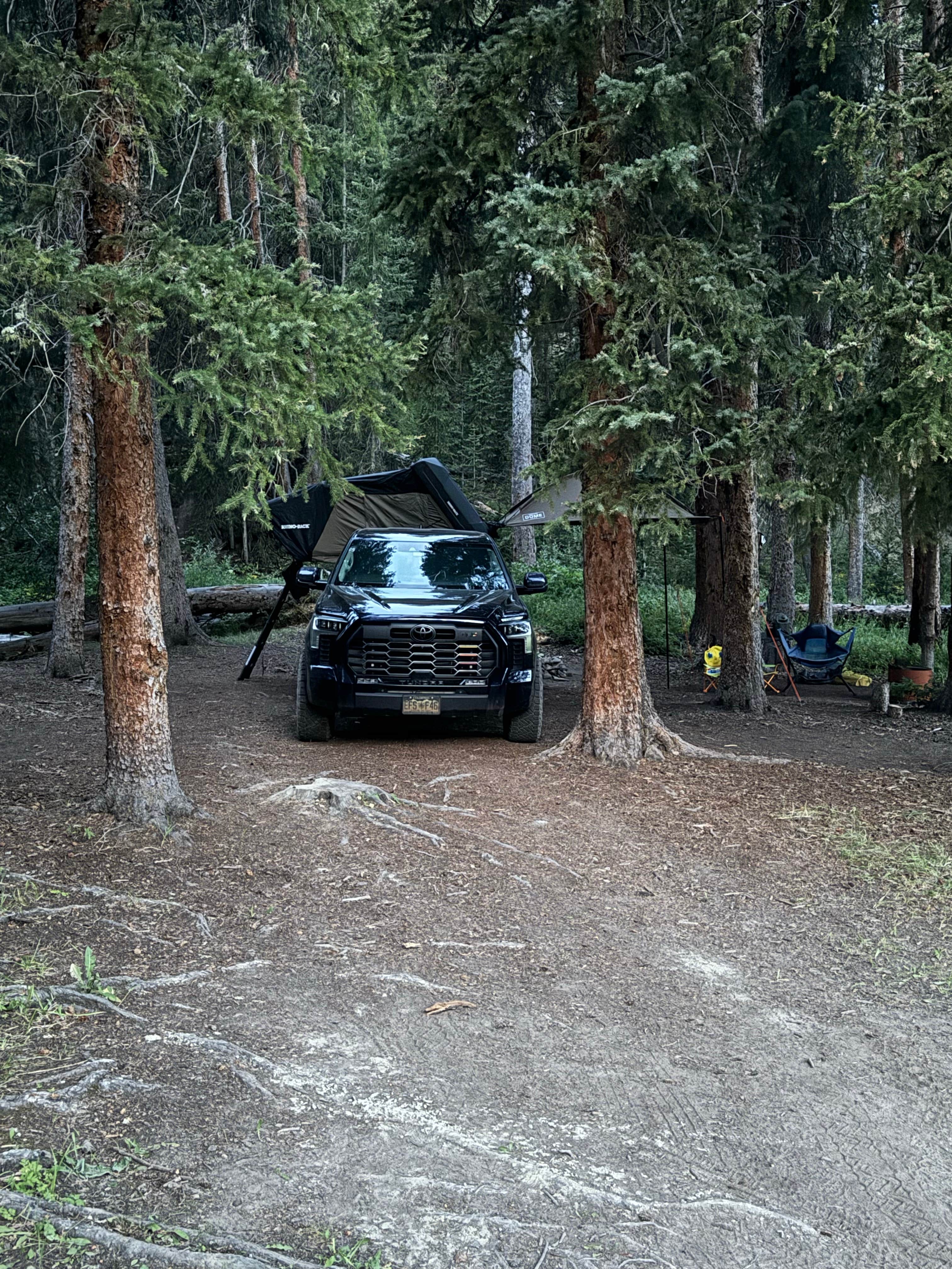 Camper submitted image from Spring Creek Colorado- Dispersed Camping - 2