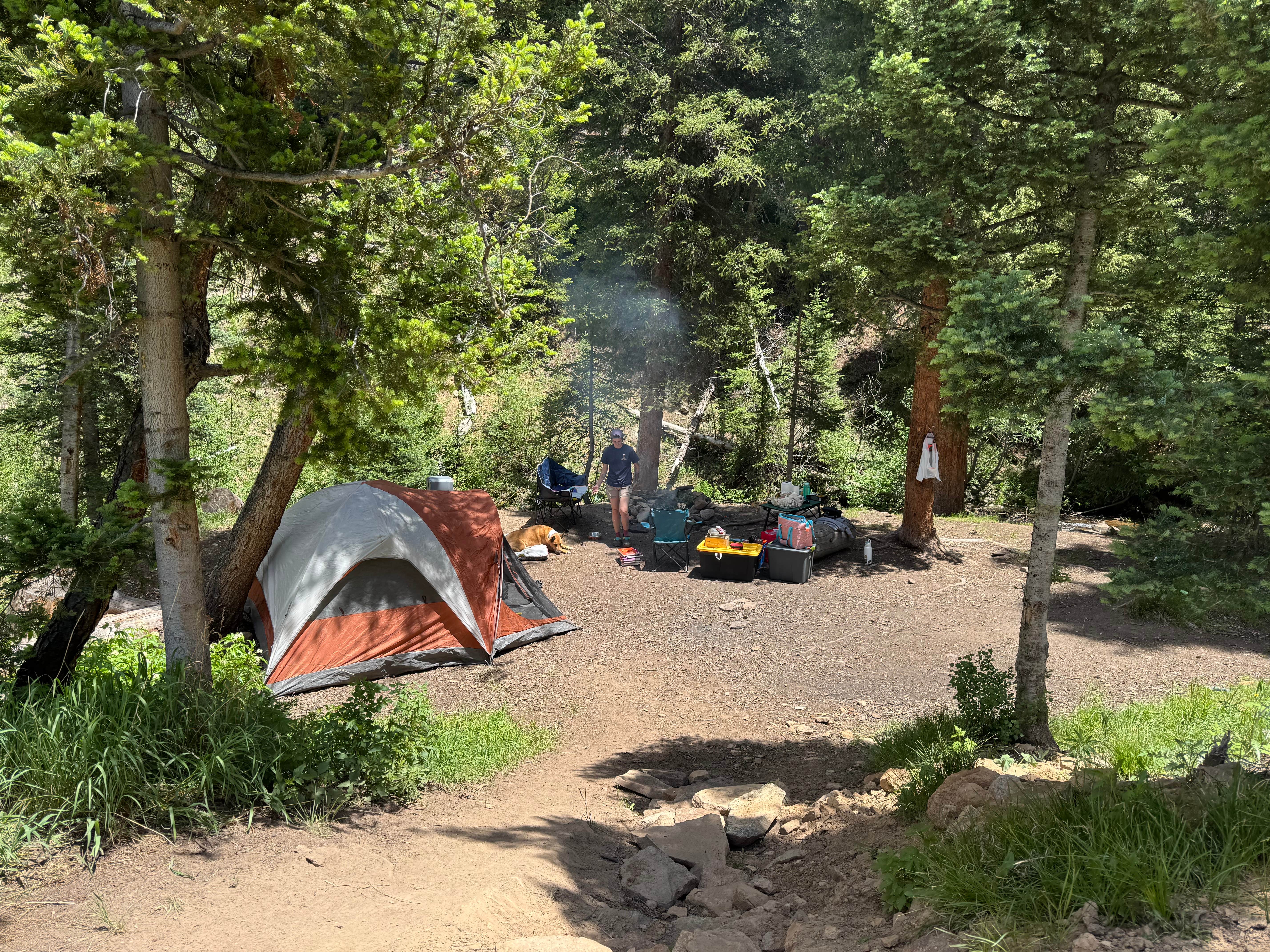 Molly M.'s photo at Spring Creek Colorado- Dispersed Camping near Hot Sulphur Springs, CO