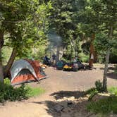 Review photo of Spring Creek Colorado- Dispersed Camping by Molly M., June 22, 2025