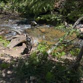 Review photo of Spring Creek Colorado- Dispersed Camping by Molly M., June 22, 2025