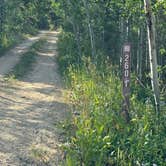 Review photo of Spring Creek Colorado- Dispersed Camping by michael H., August 4, 2024