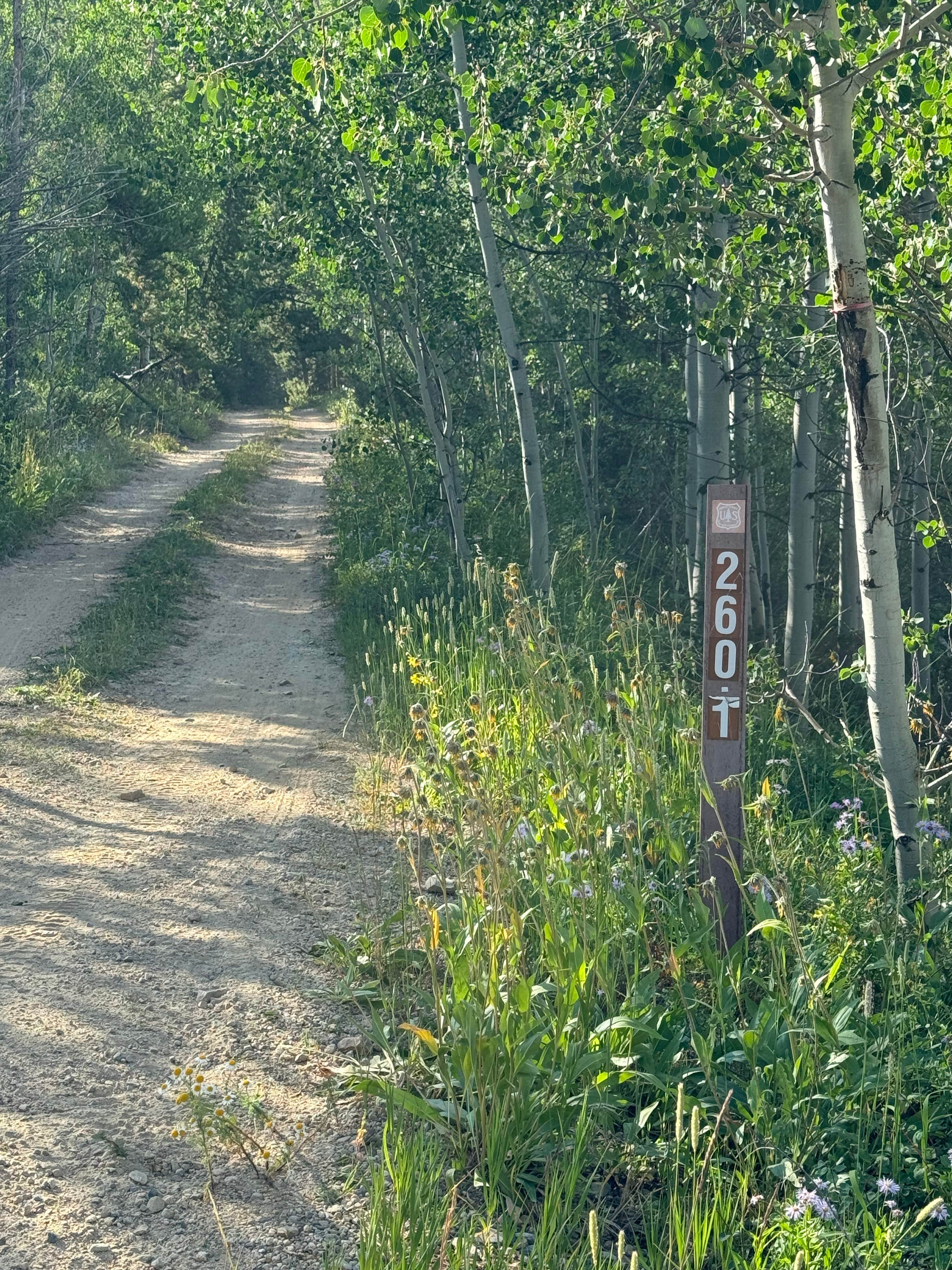 Camper submitted image from Spring Creek Colorado- Dispersed Camping - 4