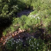 Review photo of Spring Creek Colorado- Dispersed Camping by Katherine M., August 22, 2025