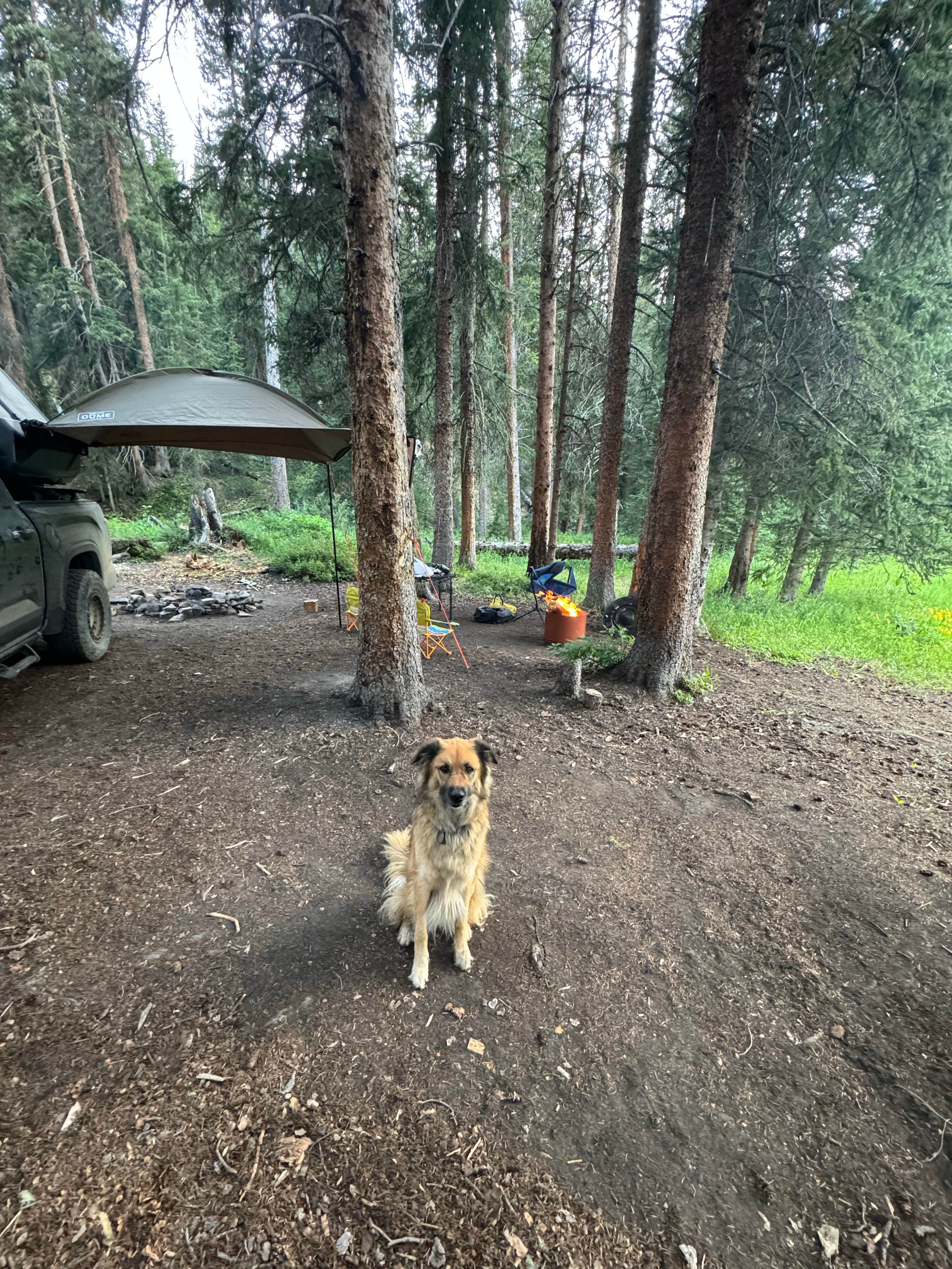 michael H.'s photo of a dispersed camping area at Spring Creek Colorado- Dispersed Camping near Heeney, CO