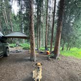 Review photo of Spring Creek Colorado- Dispersed Camping by michael H., August 4, 2024