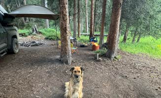 michael H.'s photo at Spring Creek Colorado- Dispersed Camping near Parshall, CO