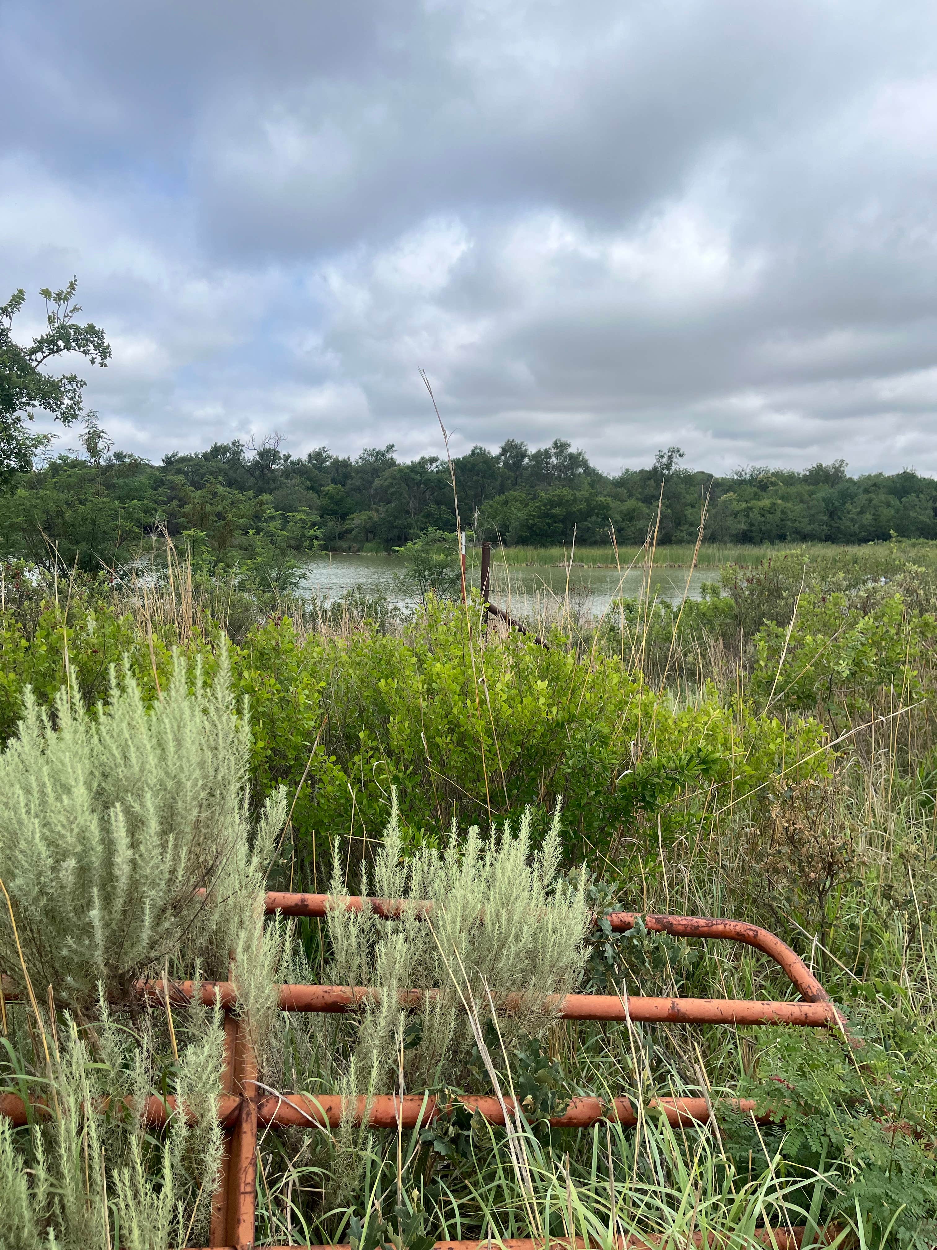 Camper-submitted photo at Spring Creek Dispersed Sites near Cheyenne, OK