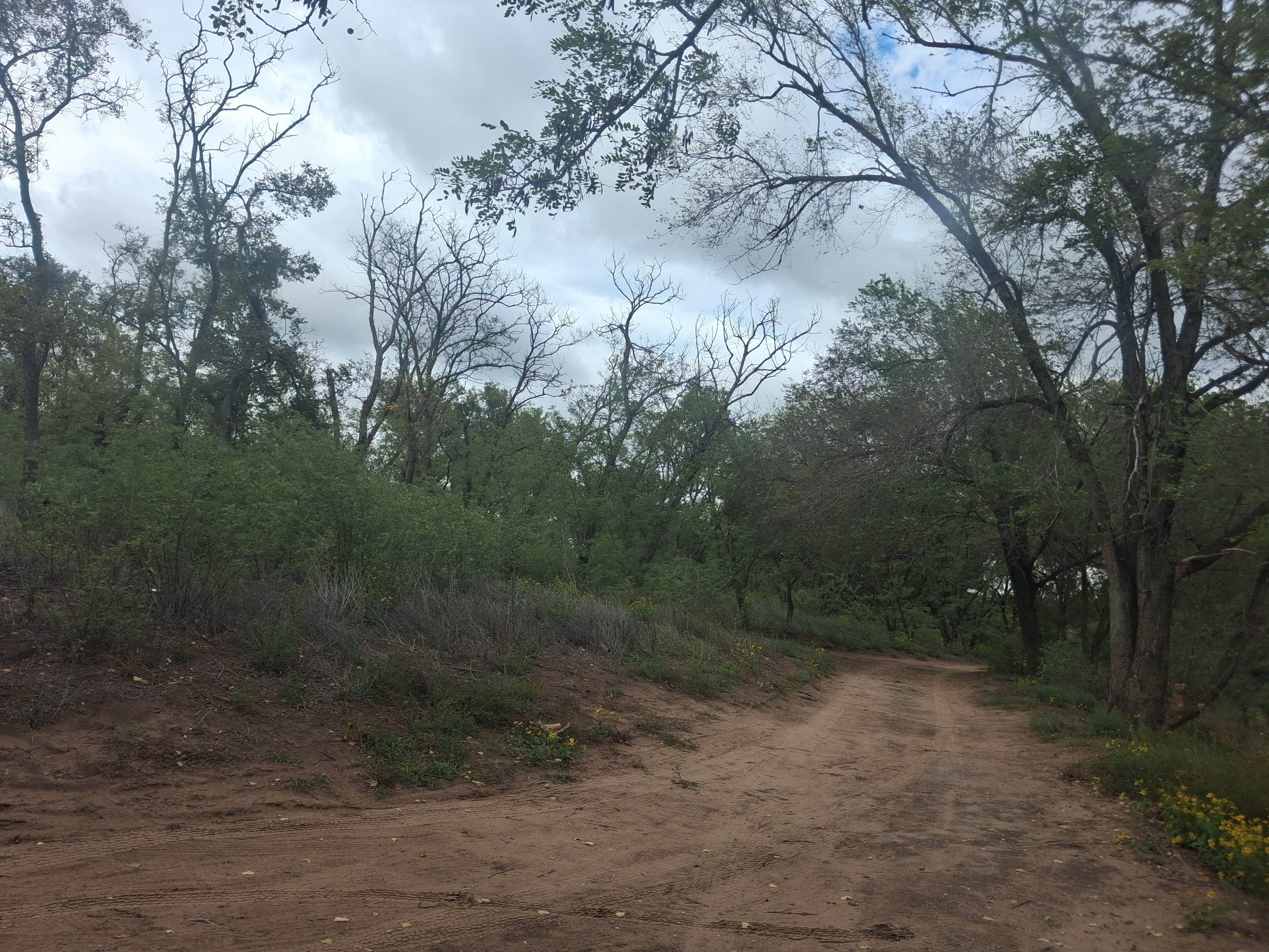 Camper-submitted photo at Spring Creek Dispersed Sites near Canadian, TX