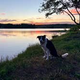 Review photo of Spring Creek Dispersed Sites by Jill M., June 5, 2026