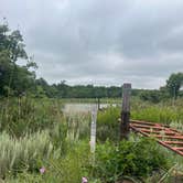 Review photo of Spring Creek Dispersed Sites by Anna M., June 21, 2026
