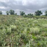 Review photo of Spring Creek Dispersed Sites by Anna M., June 21, 2026
