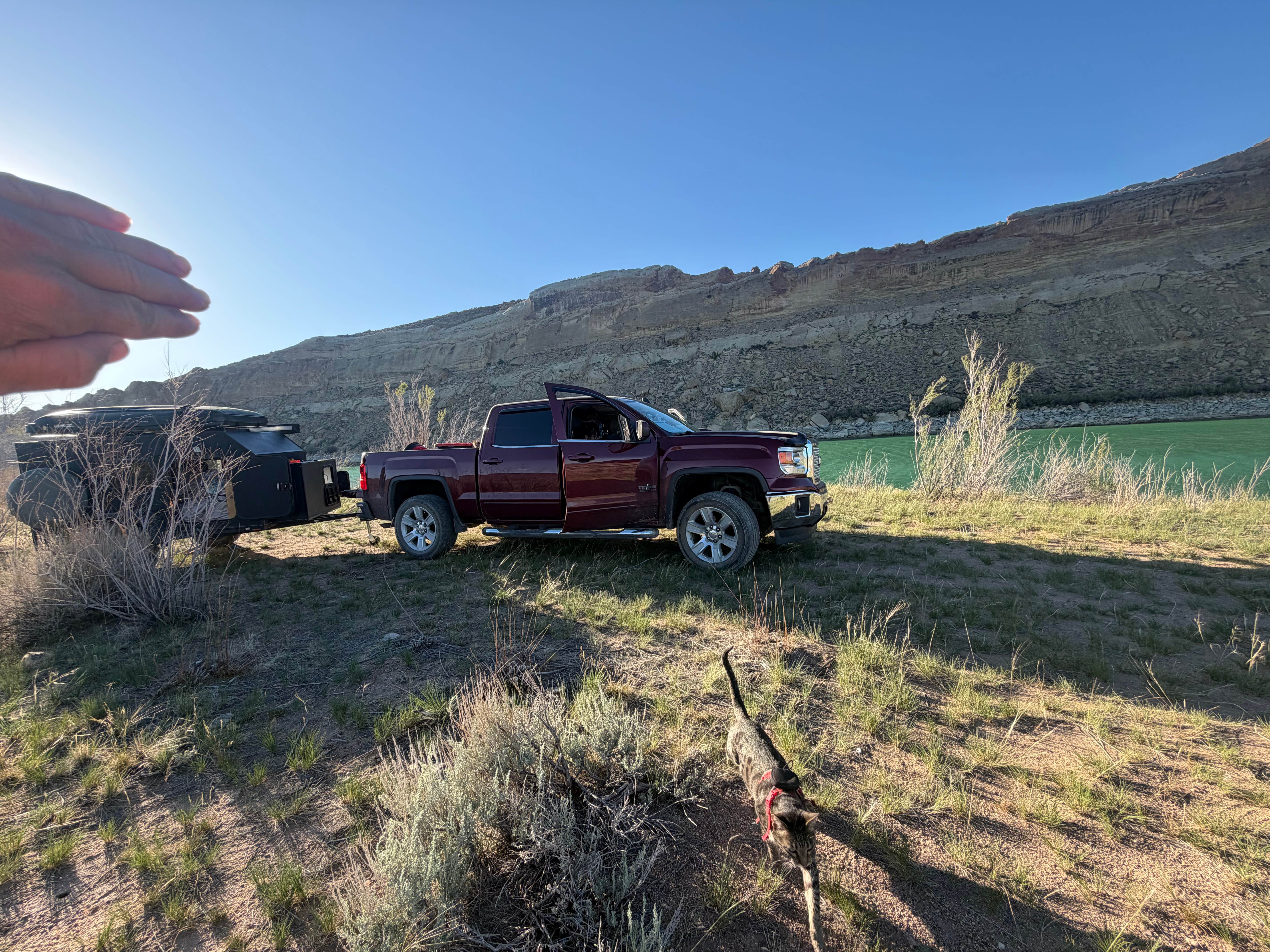 Tyler S.'s photo of camping with pets at Spring Creek Road Dispersed - Flaming Gorge near Manila, UT