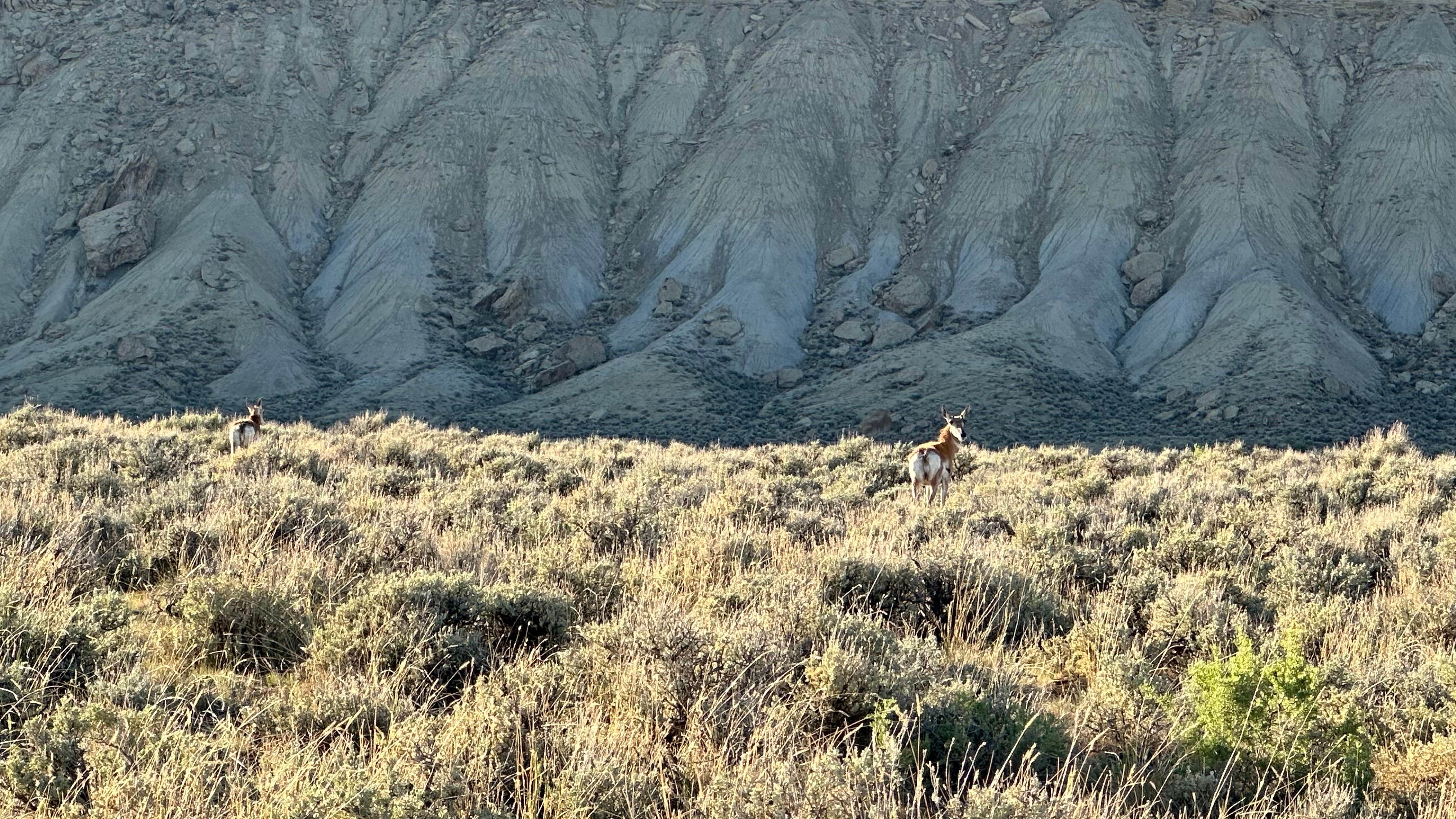 Camper-submitted photo at Spring Creek Road Dispersed - Flaming Gorge near Flaming Gorge, UT