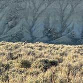 Review photo of Spring Creek Road Dispersed - Flaming Gorge by Cortlan S., June 30, 2024