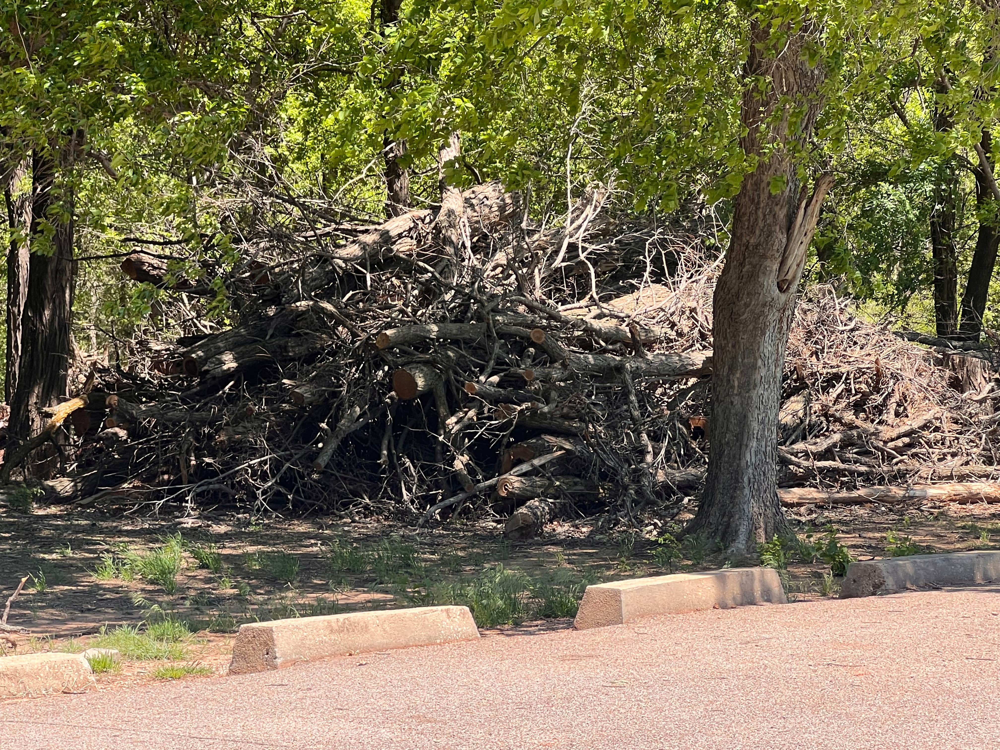 Camper submitted image from Spring Creek Lake Recreation Area Oklahoma - Dispersed Camping - 1