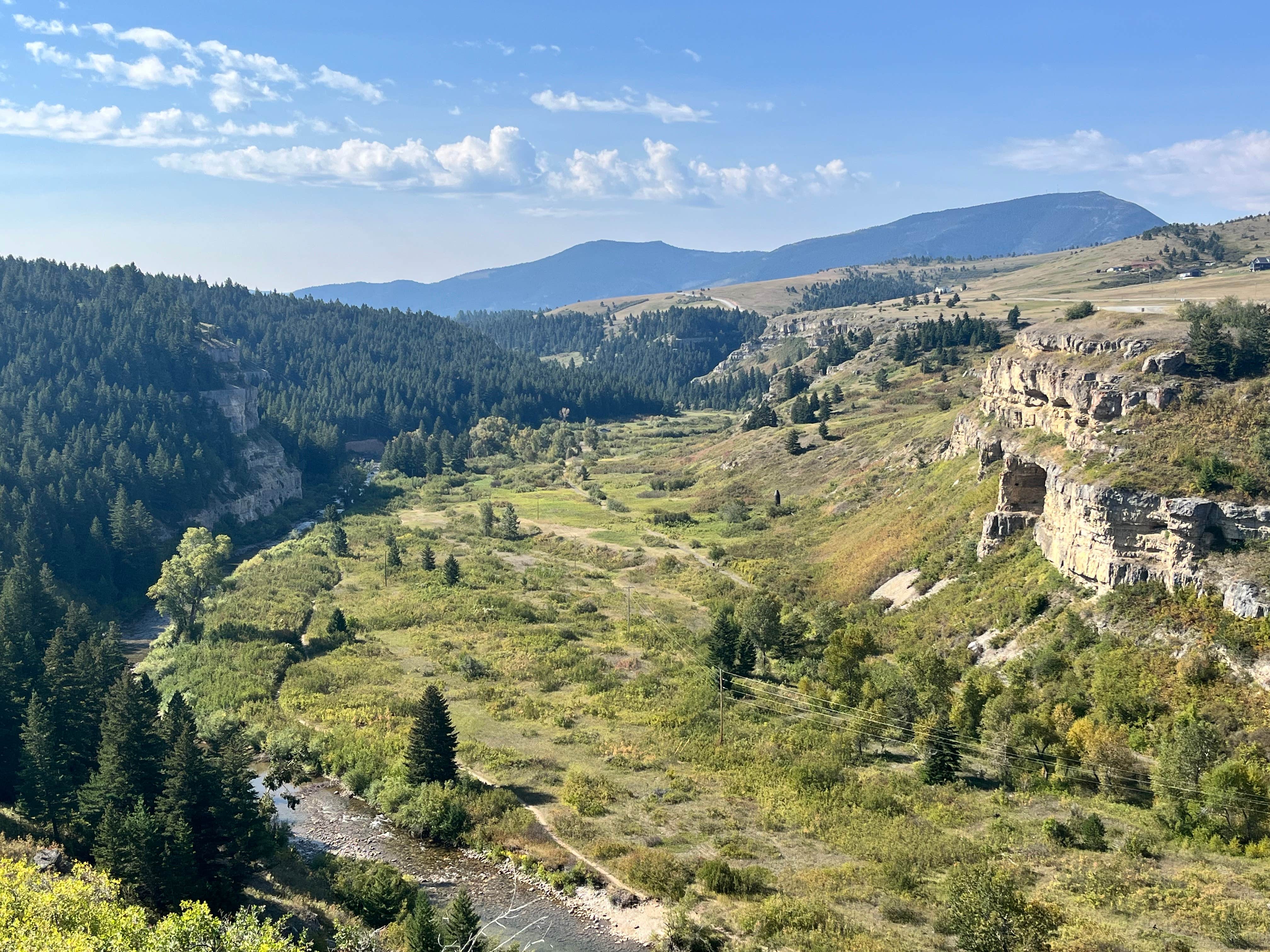 Camper submitted image from Spring Creek - 1