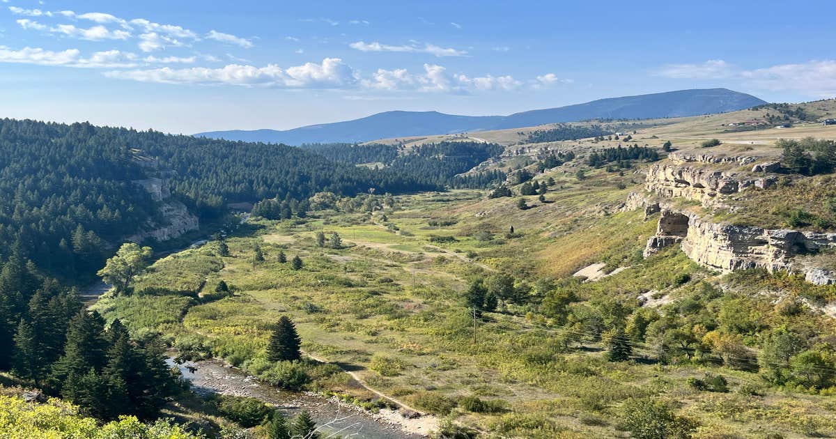 Spring Creek