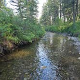 Review photo of Spring Creek by Carrie H., July 2, 2025