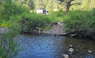 Carrie H.'s photo of camping with pets at Spring Creek near Hobson, MT