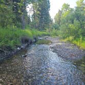 Review photo of Spring Creek by Carrie H., July 2, 2025