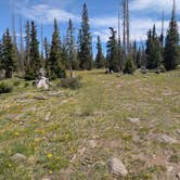 Review photo of Spring Creek Pass Corrals by Greg L., June 15, 2025