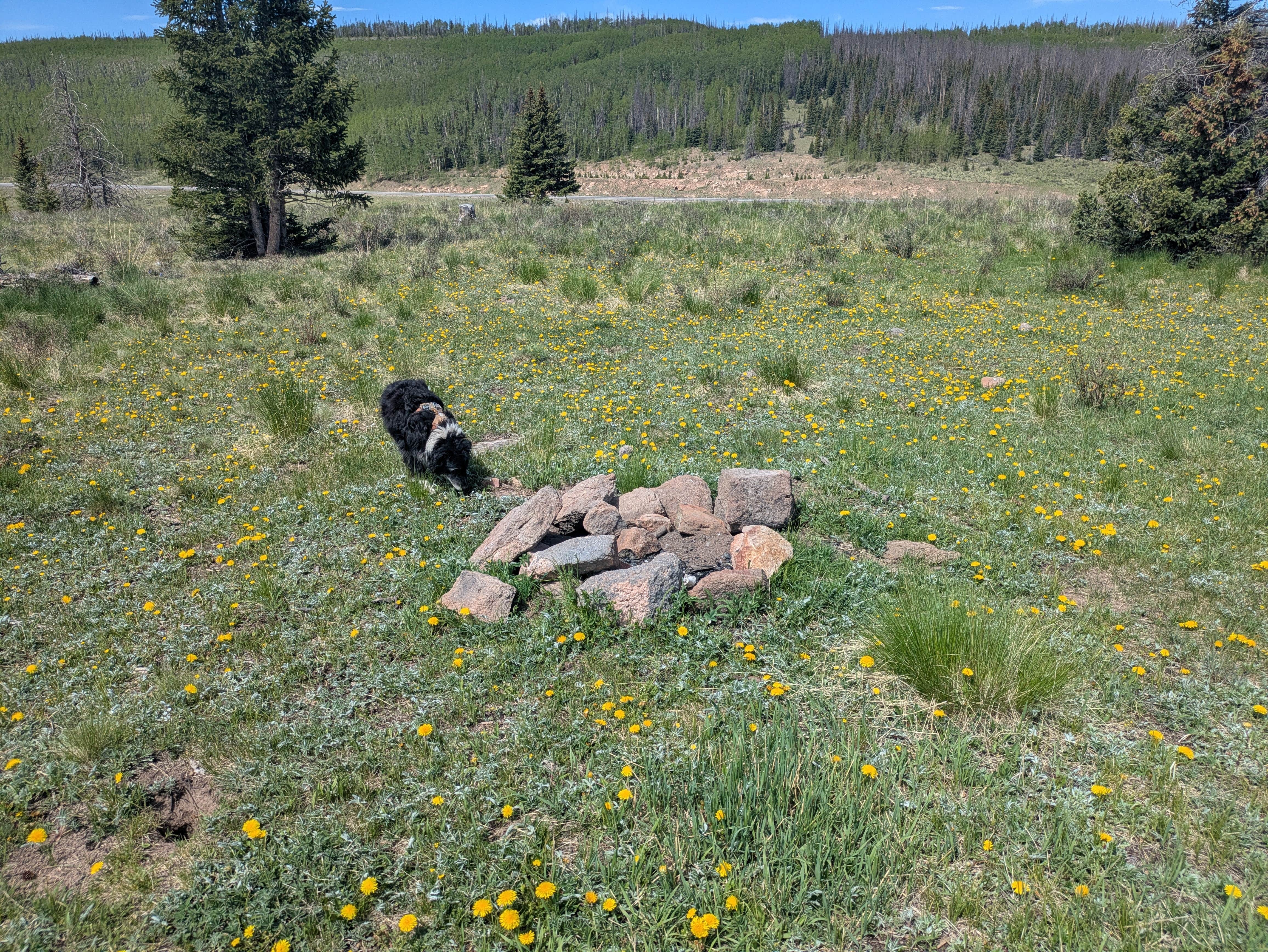Camper-submitted photo at Spring Creek Pass Corrals near City of Creede, CO