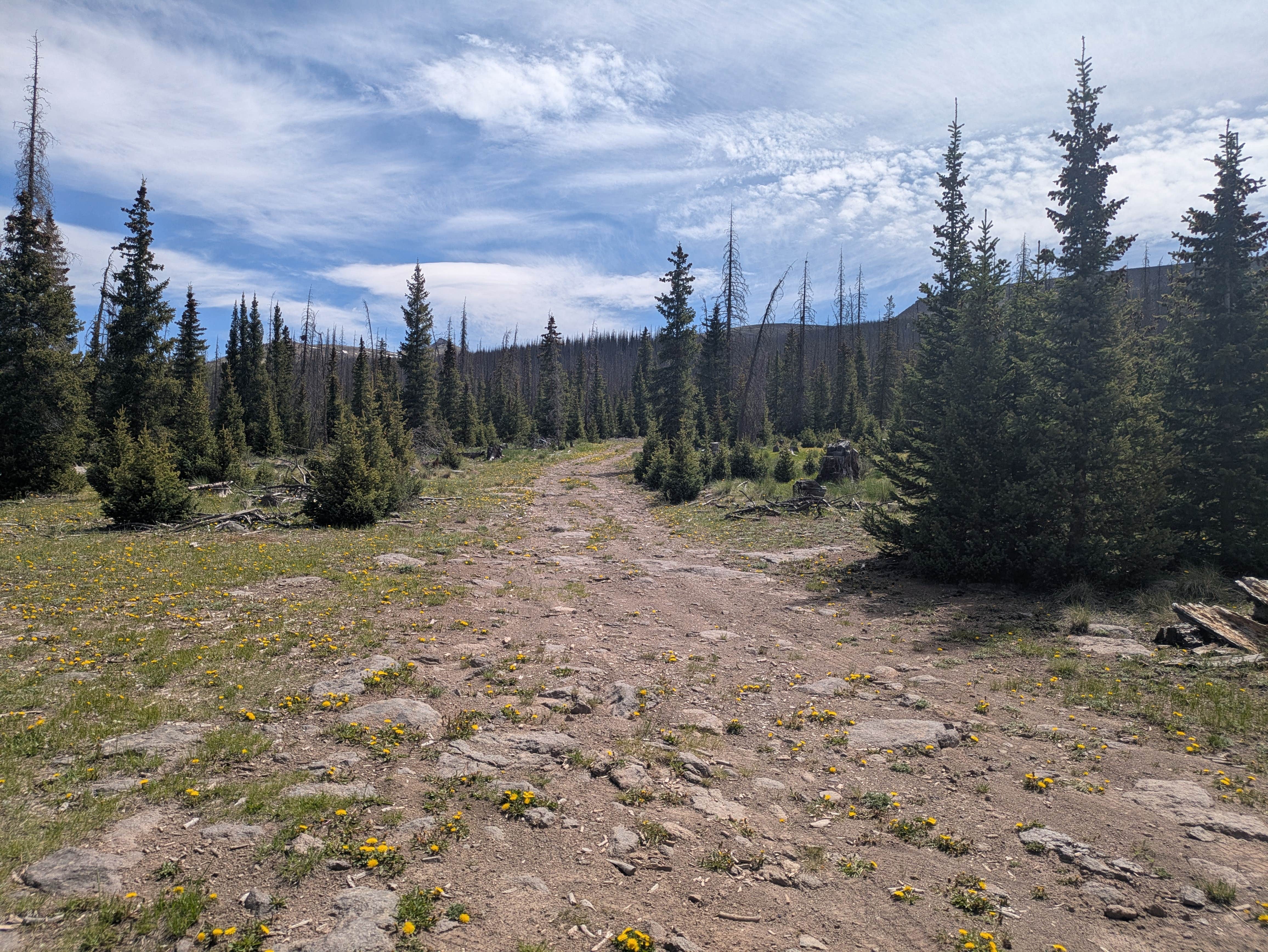 Camper-submitted photo at Spring Creek Pass Corrals near City of Creede, CO
