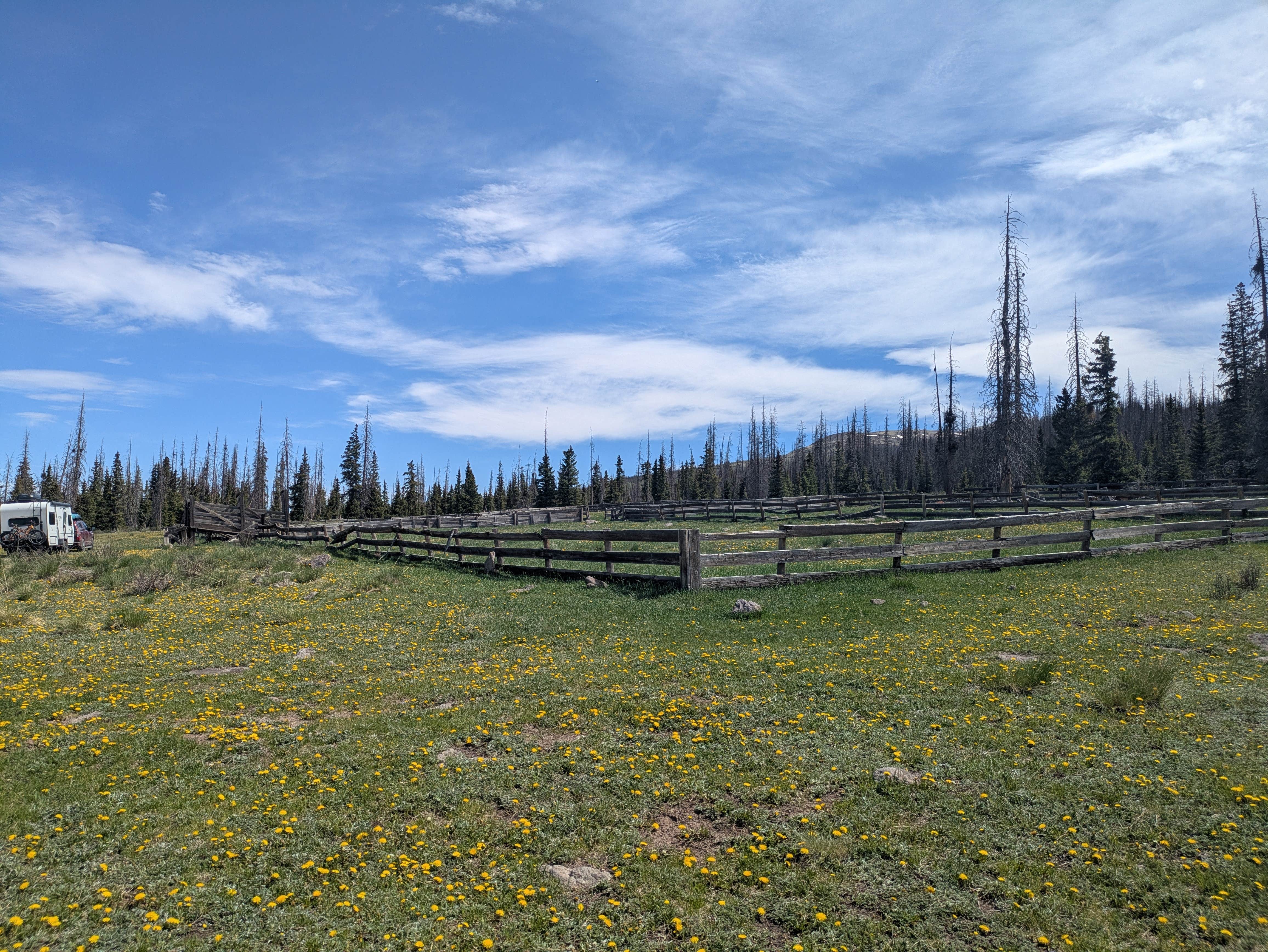 Camping near FSR #689 Dispersed: Spring Creek Pass Corrals, Lake City, Colorado
