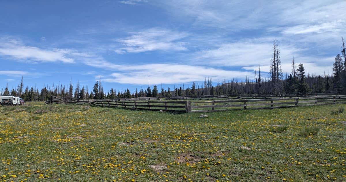 Spring Creek Pass Corrals Camping | Lake City, Colorado