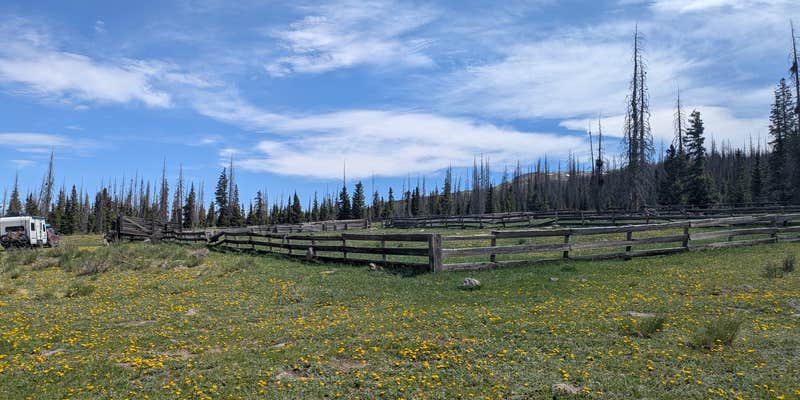 Camper submitted image from Spring Creek Pass Corrals