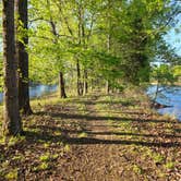 Review photo of Spring Creek Primitive Campground — Mousetail Landing State Park by Raven R., June 18, 2026