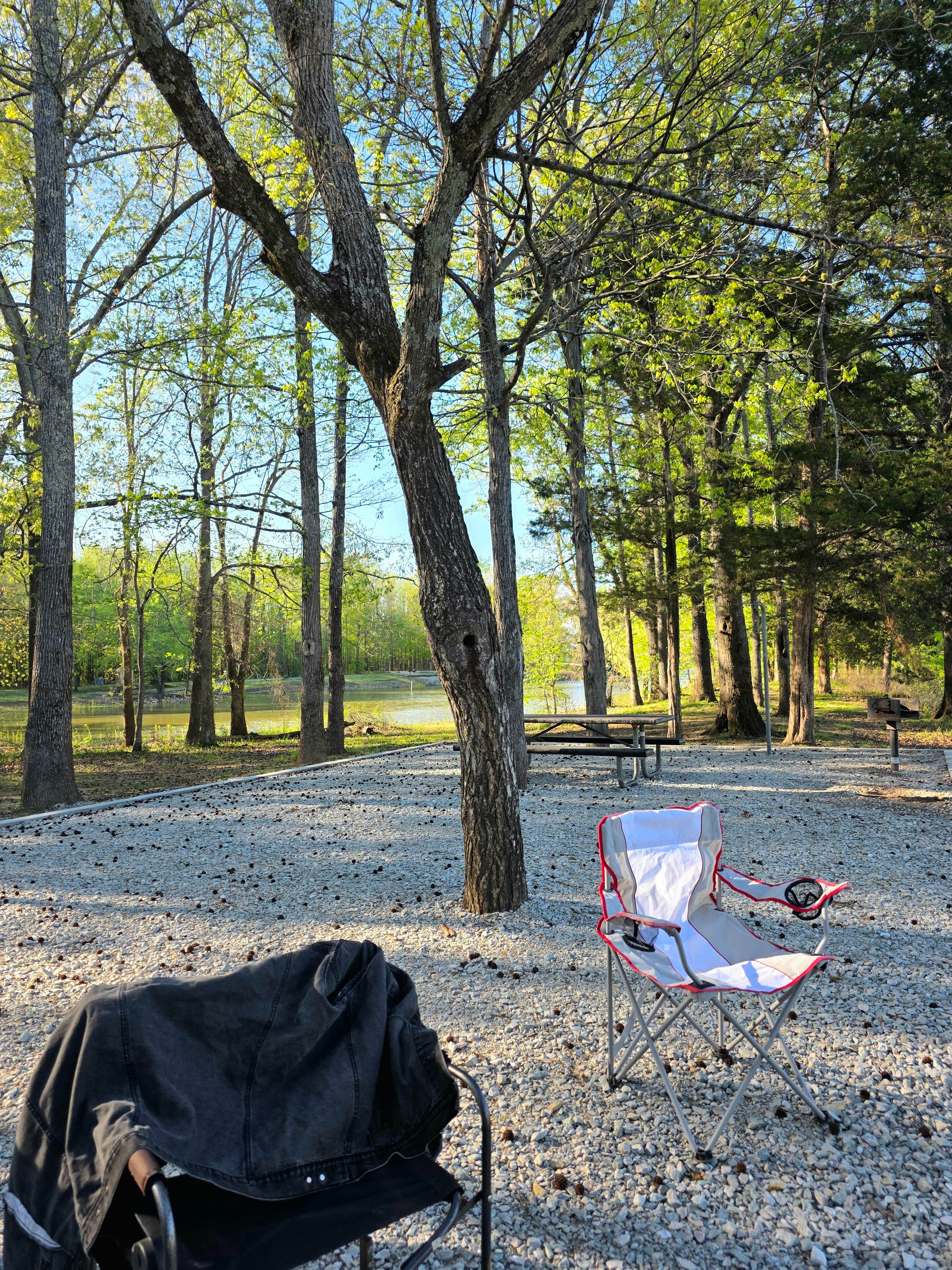Raven R.'s photo at Spring Creek Primitive Campground — Mousetail Landing State Park near Parsons, TN