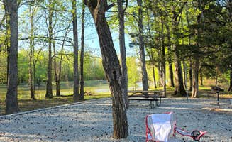 Raven R.'s photo at Spring Creek Primitive Campground — Mousetail Landing State Park near Bath Springs, TN