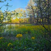 Review photo of Spring Creek Primitive Campground — Mousetail Landing State Park by Raven R., June 18, 2026