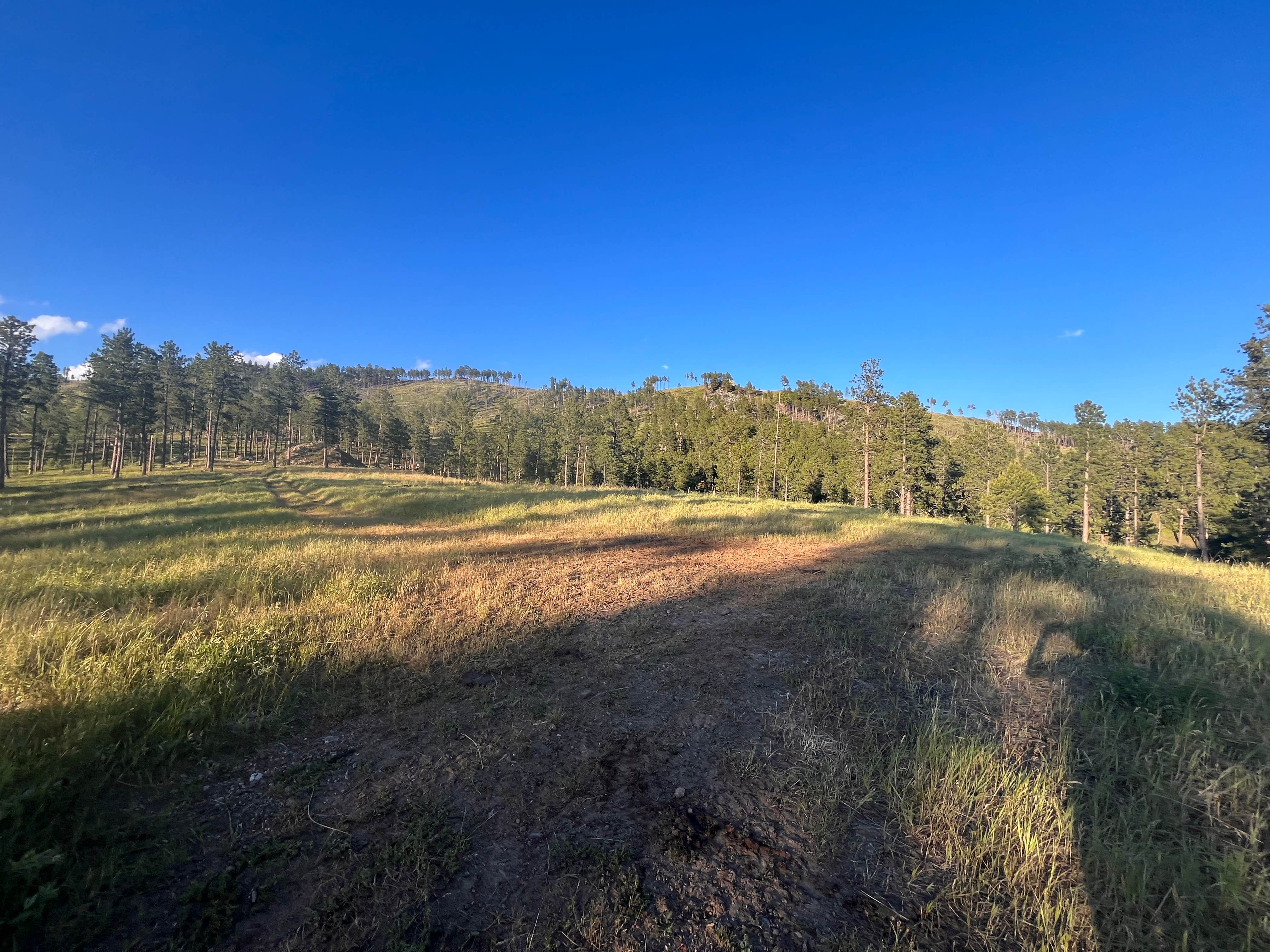 Camper submitted image from Spring Creek Rd Mine Site Dispersed - 2