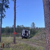 Review photo of Spring Creek Rd Mine Site Dispersed by ashley L., July 6, 2024