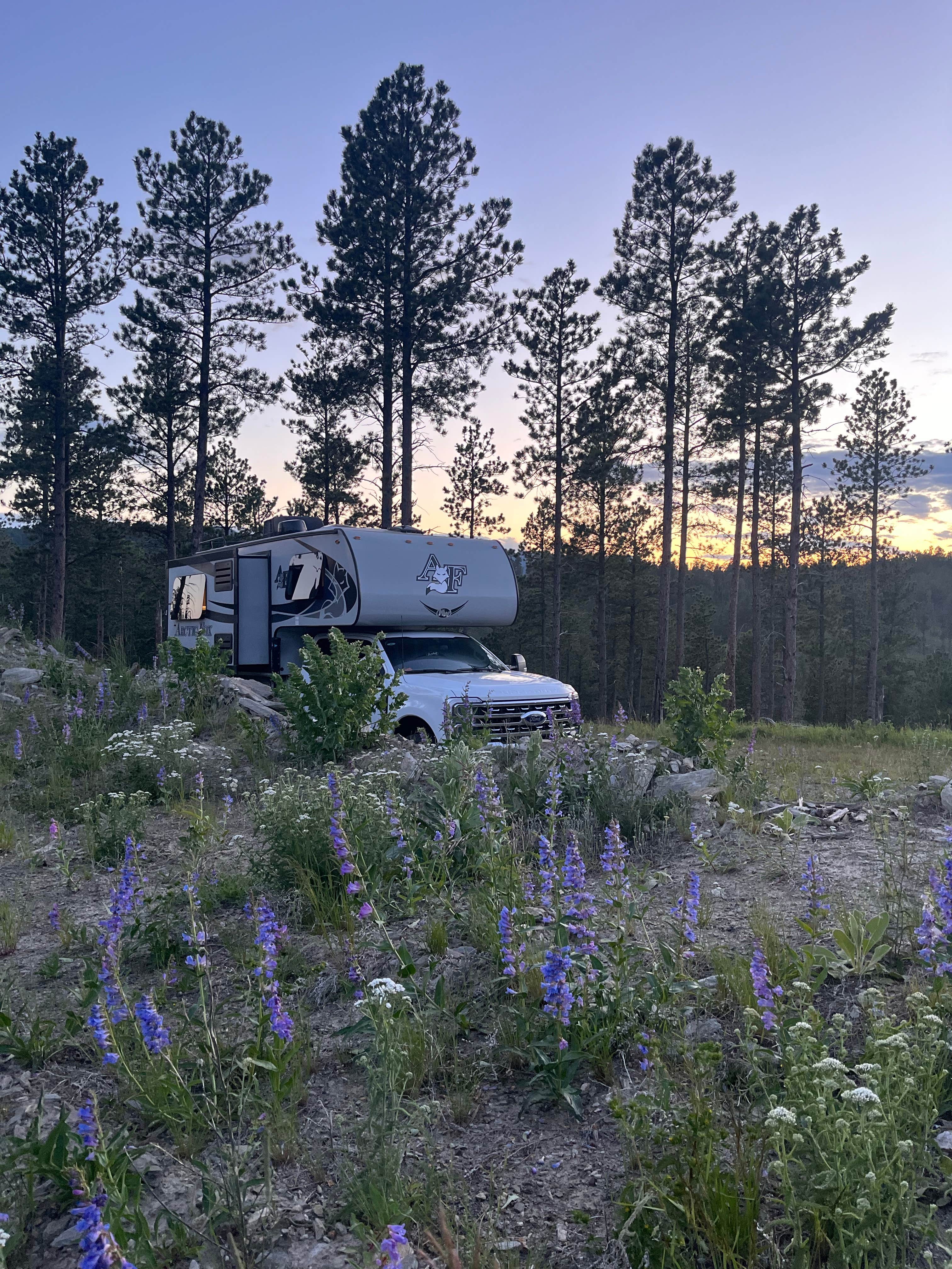 Camper-submitted photo at Spring Creek Rd Mine Site Dispersed near Hill City, SD