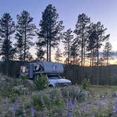 Review photo of Spring Creek Rd Mine Site Dispersed by ashley L., July 6, 2024