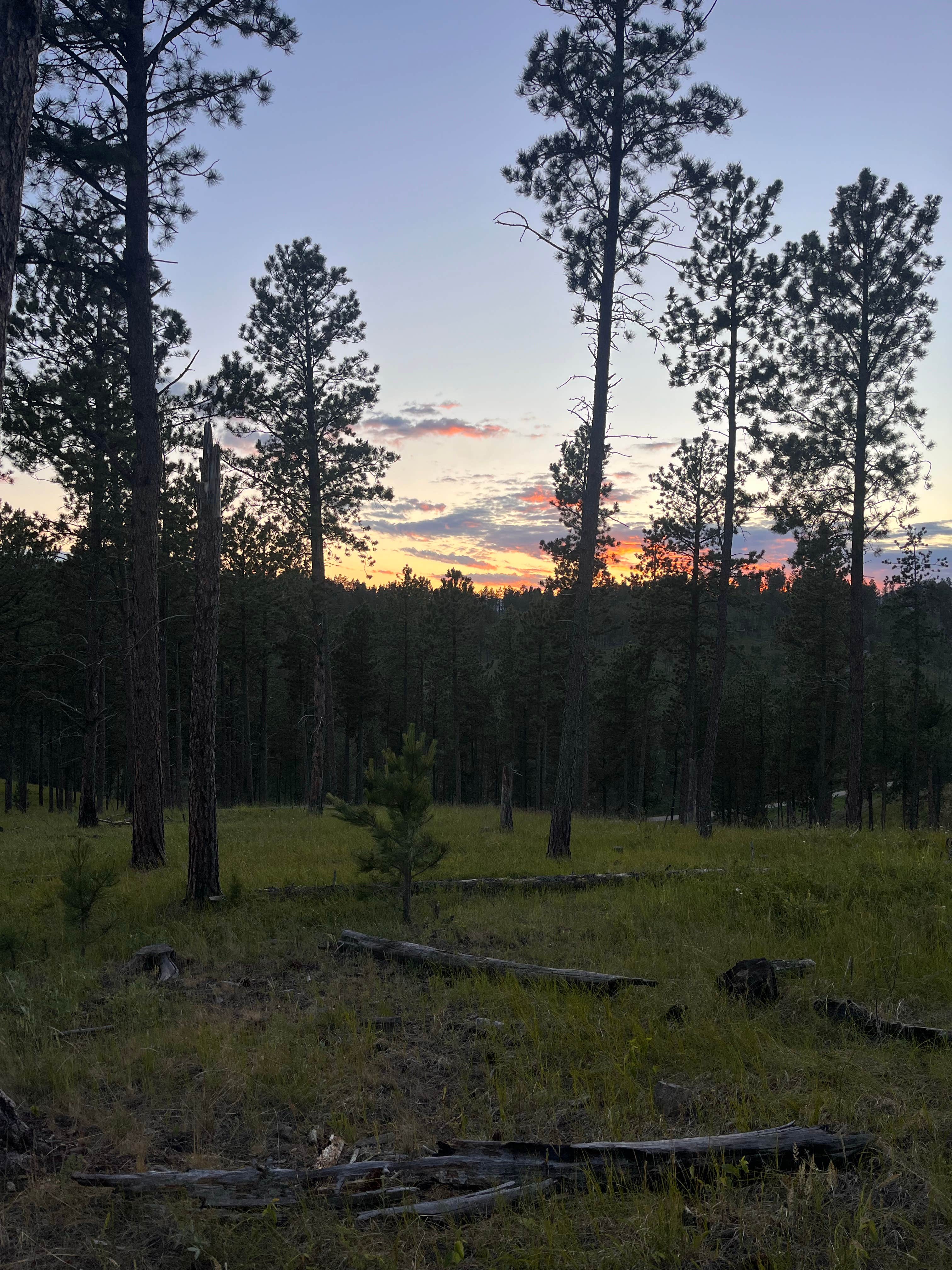Camper-submitted photo at Spring Creek Rd Mine Site Dispersed near Hill City, SD