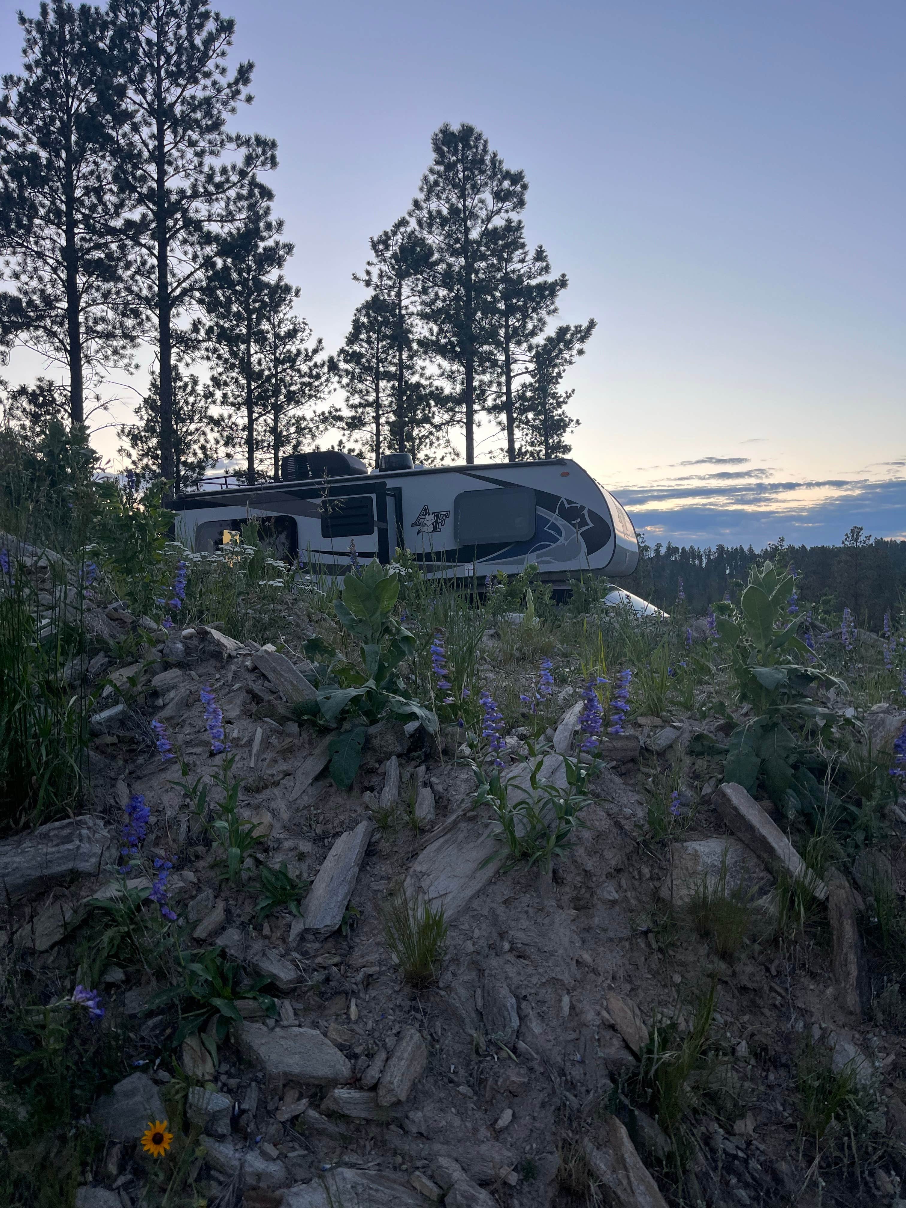 Camper-submitted photo at Spring Creek Rd Mine Site Dispersed near Hill City, SD