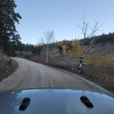 Review photo of Spring Creek Road Spur by Erich J., October 20, 2023