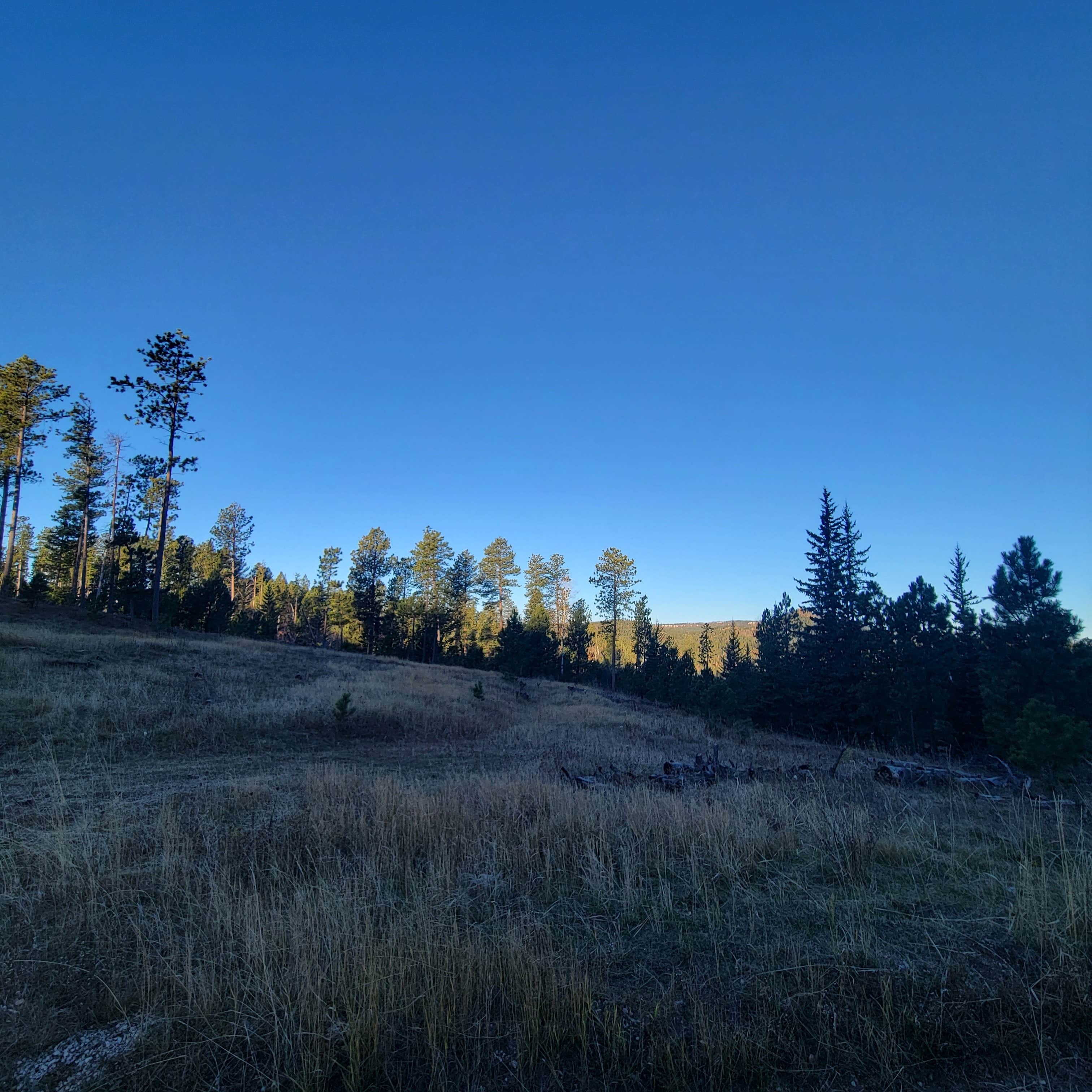Camper-submitted photo at Spring Creek Road Spur near Silver City, SD