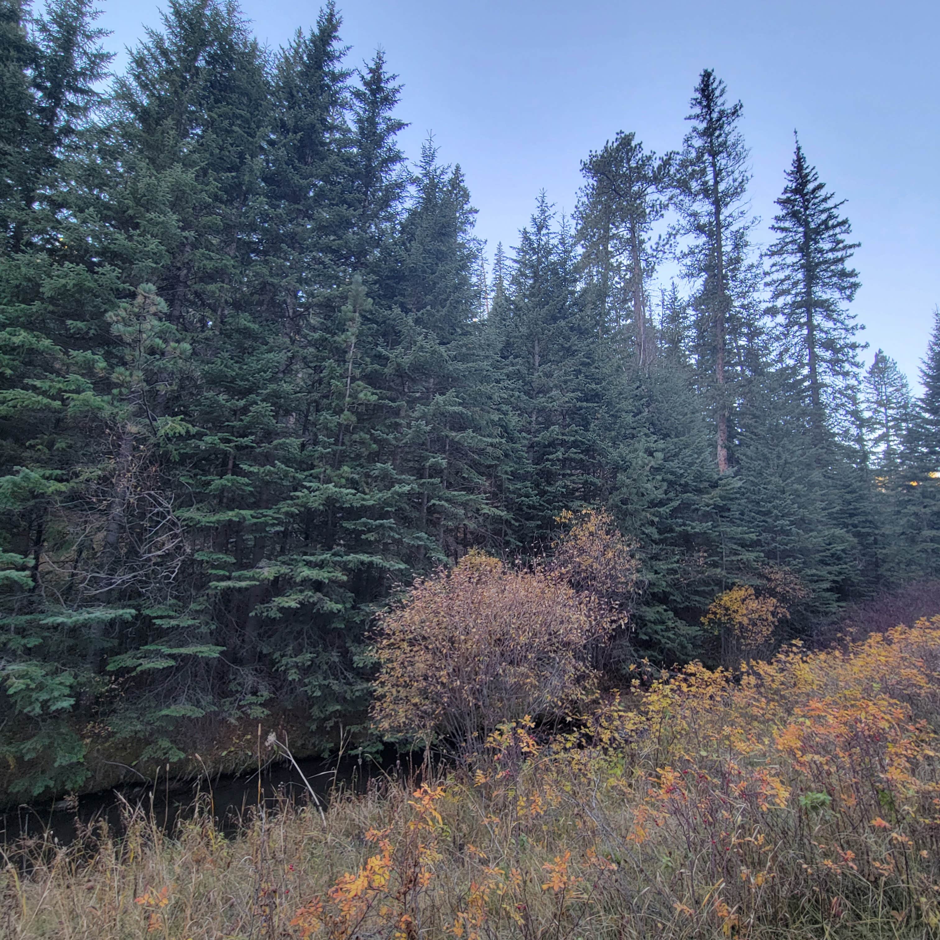 Spring Creek Road Spur