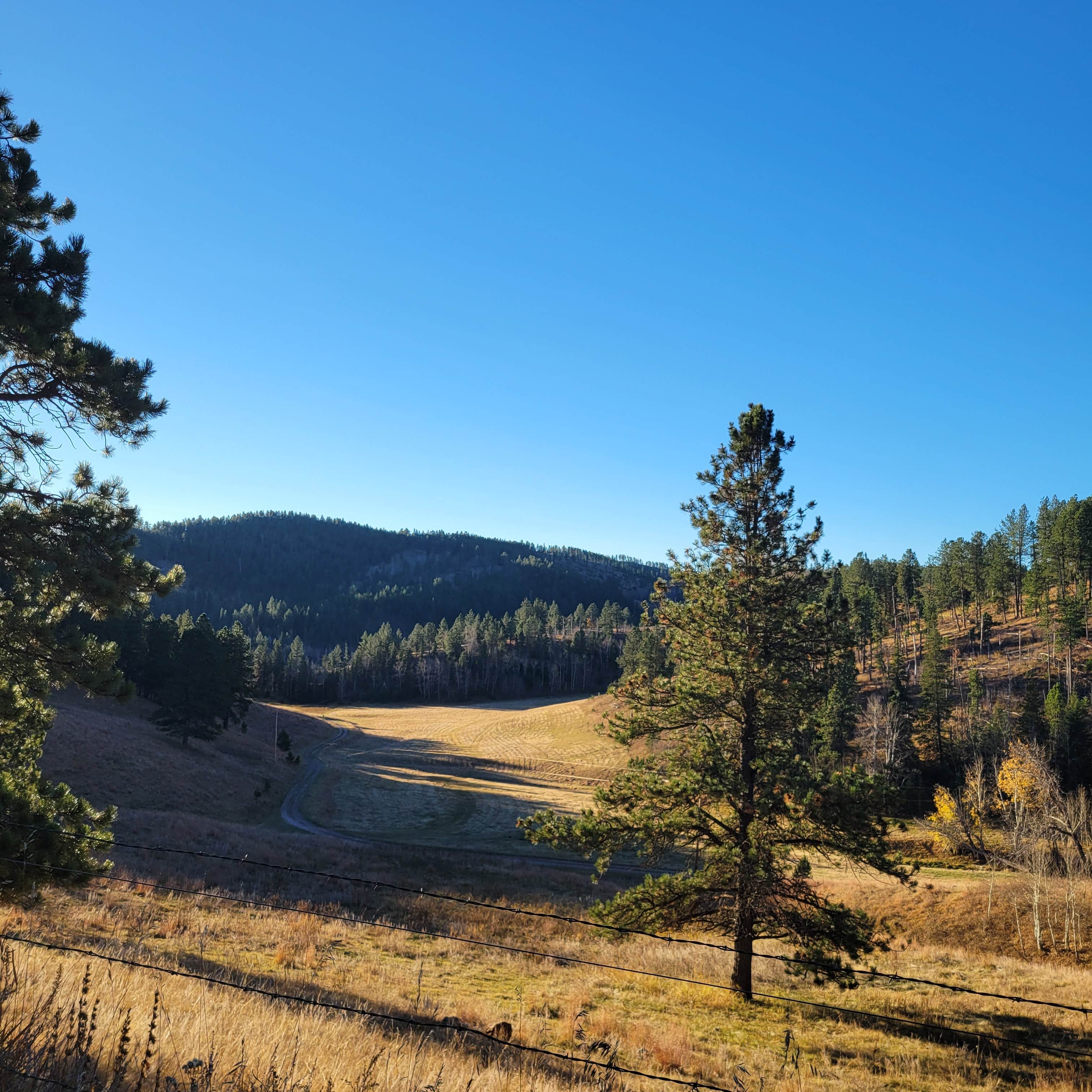 Camper-submitted photo at Spring Creek Road Spur near Silver City, SD