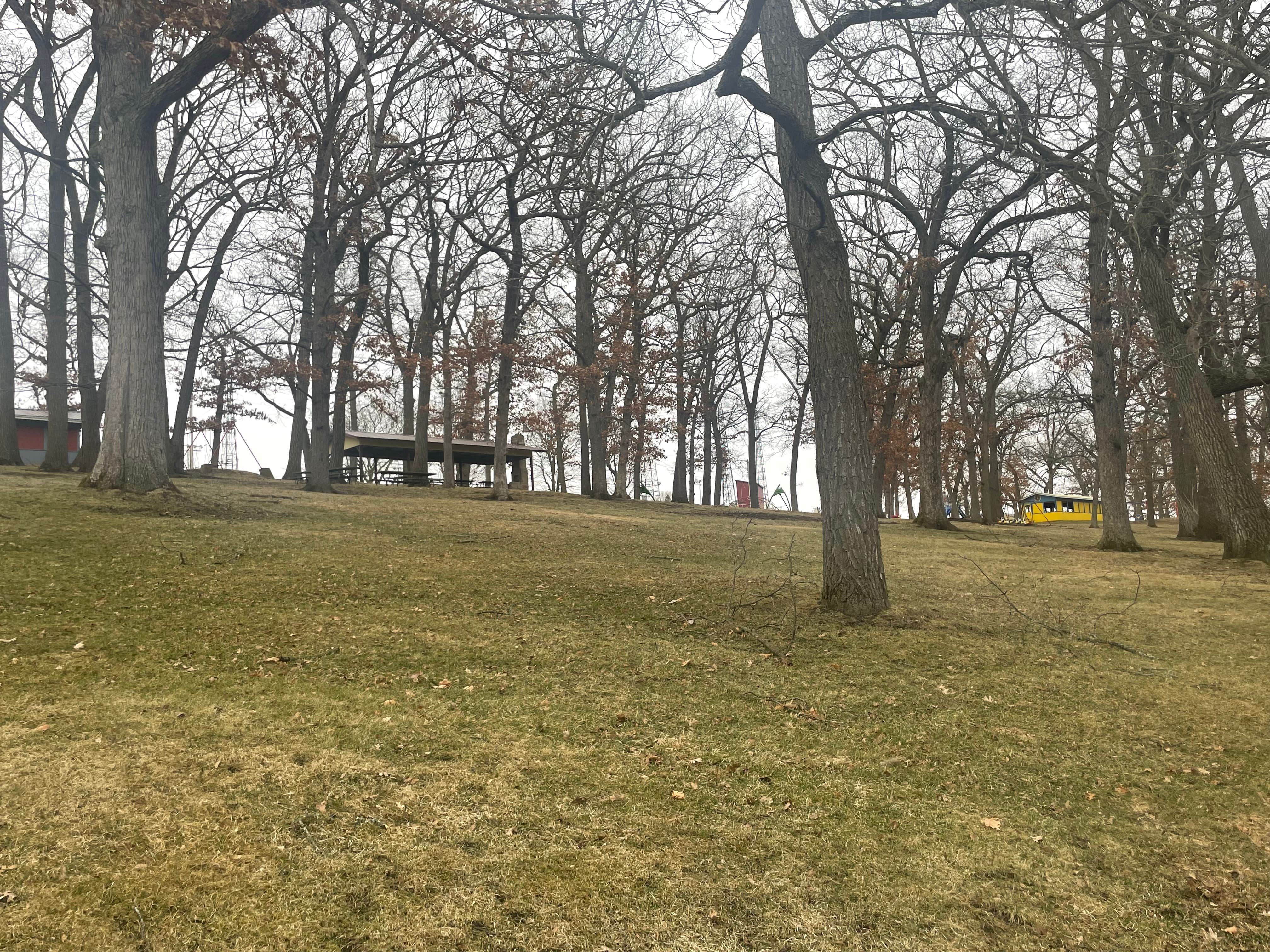 Camper-submitted photo at Spring Grove City Park - Trollskogen Park Camping near Houston, MN