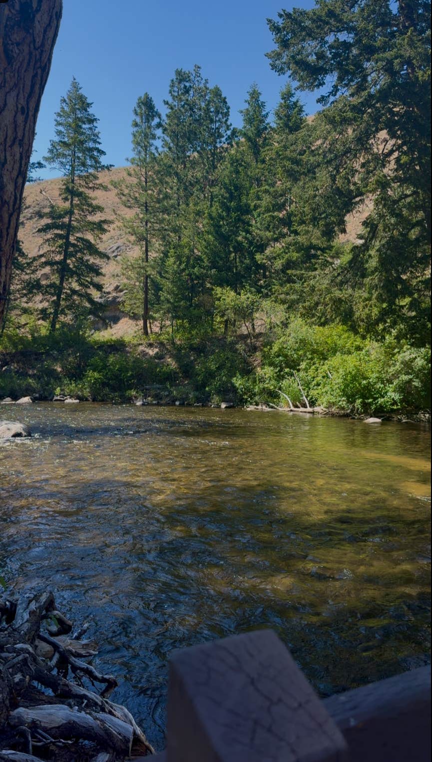 Camper submitted image from Spring Gulch - 5