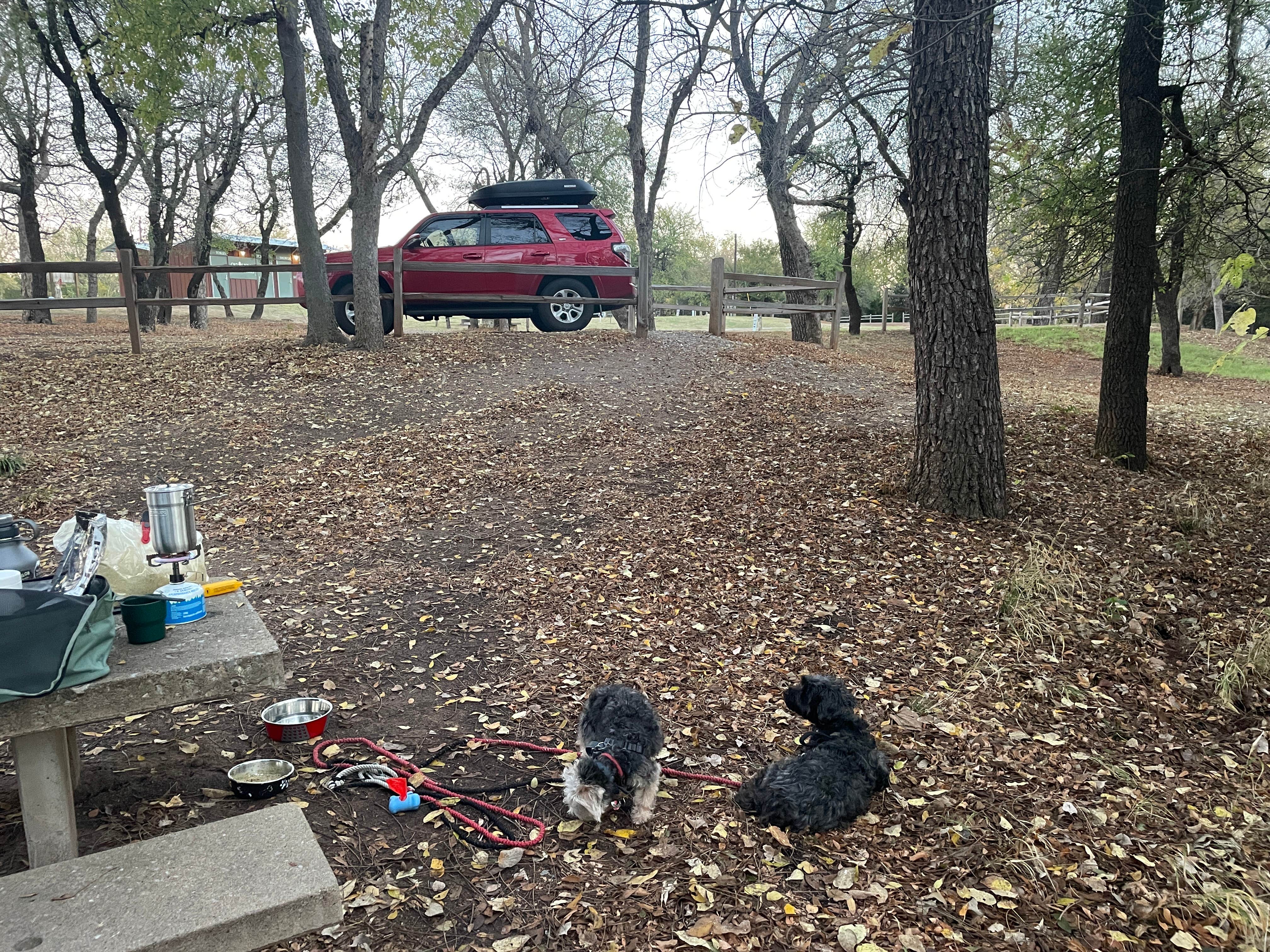 Jeffrey Z.'s photo of camping with pets at Spring Hill Campground — Boiling Springs State Park near Fort Supply Lake