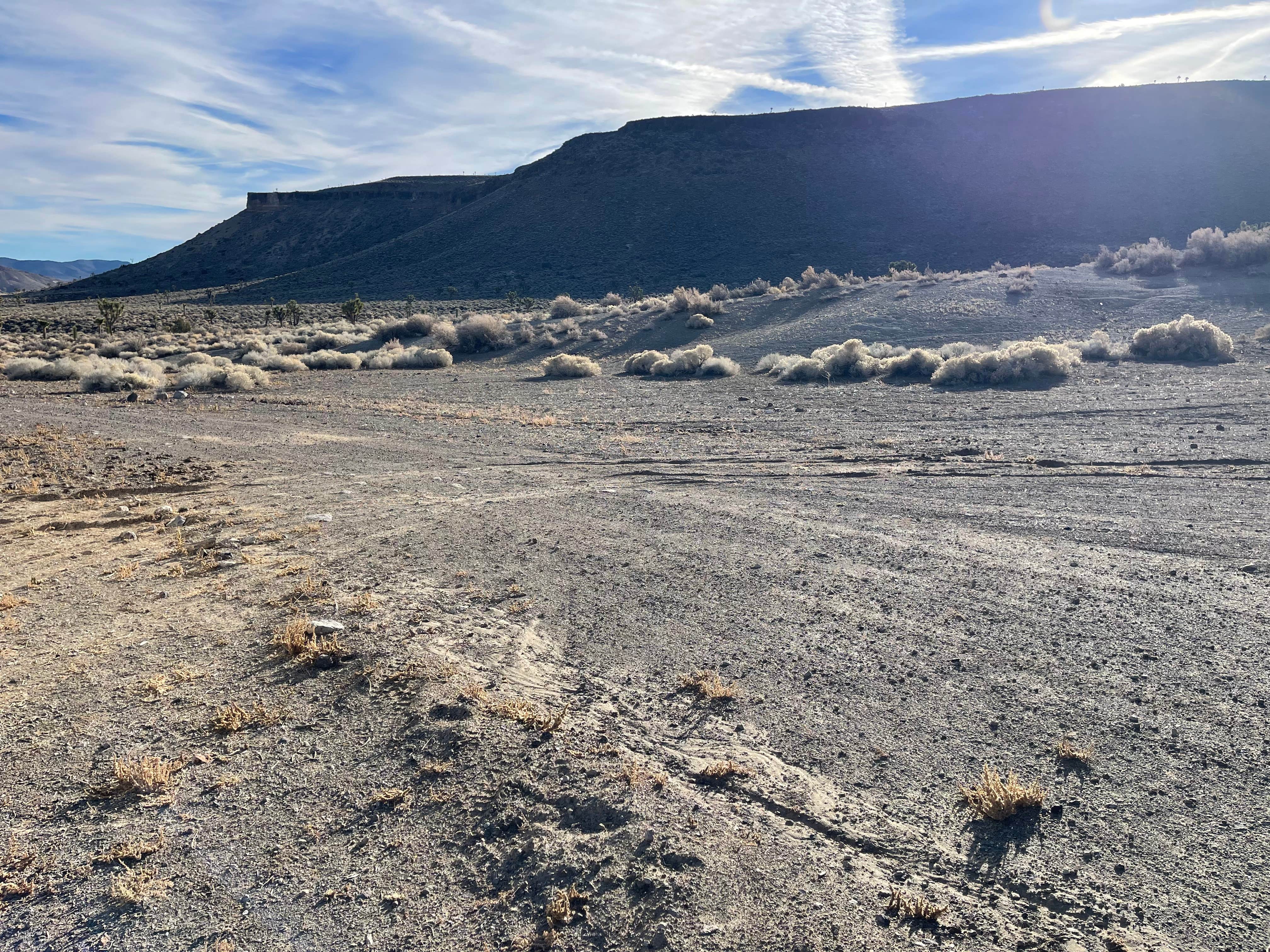 Camping near Clark's Custom Camp: Spring Rd. Dispersed, Tonopah, Nevada